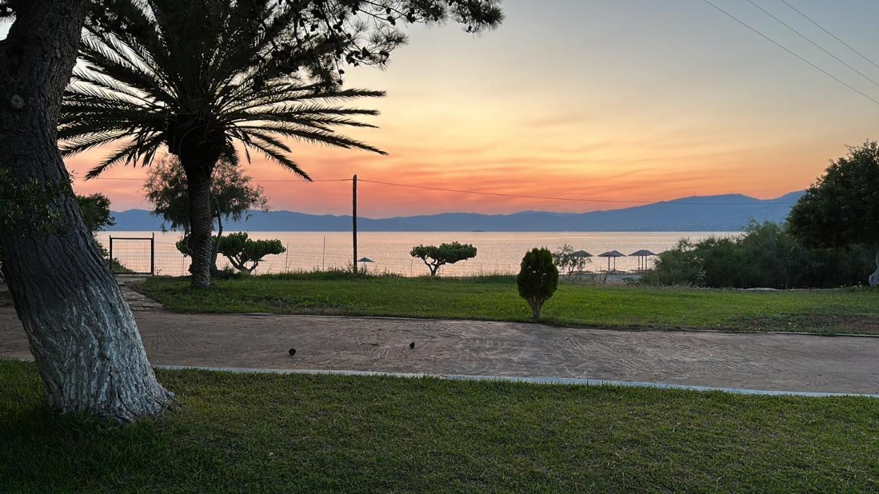 Bouros Seaview Farm Villa Karystos  Exterior foto